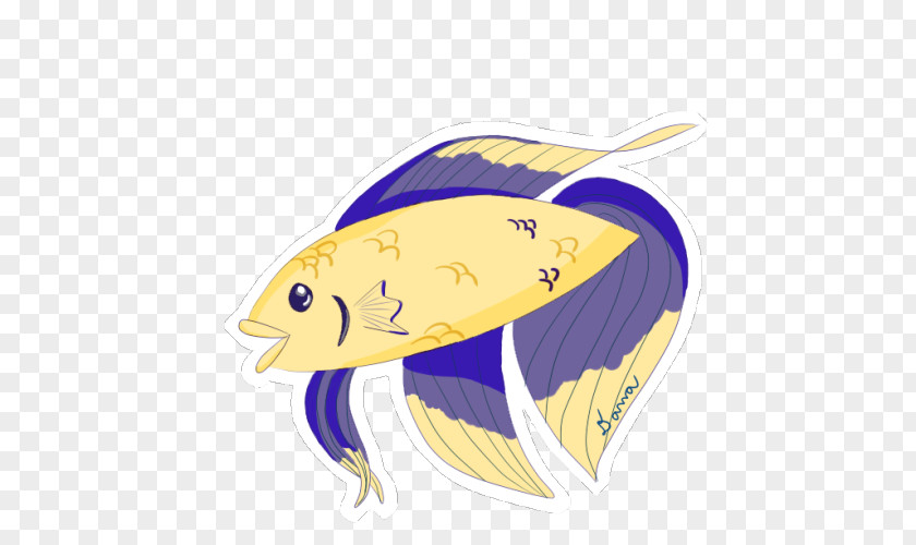 Betta Illustration Clip Art Marine Mammal Fish PNG