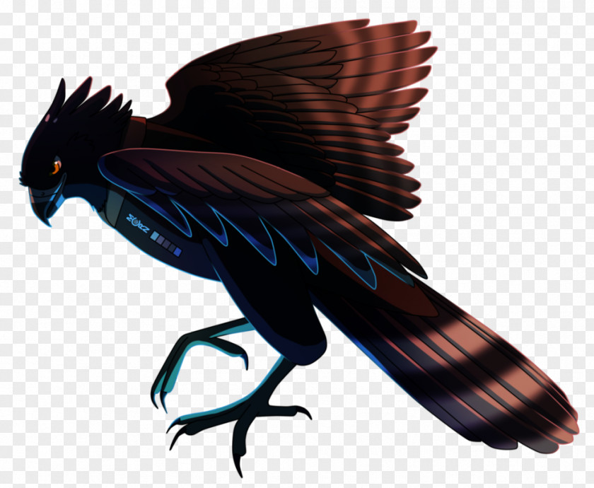 Eagle Black Hawk-eagle Accipitridae Bird PNG