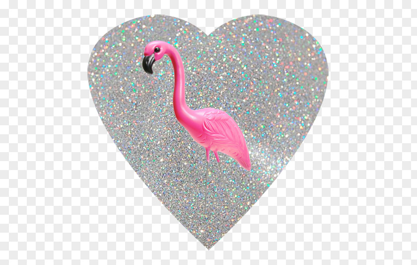 Flamingo Greater Bird We Heart It Tumblr PNG