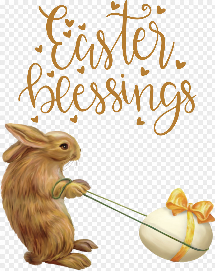 Hares Sticker Text Rabbit Tail PNG