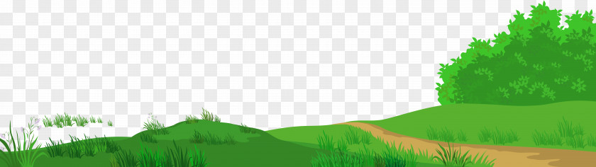 Meadow With Path Clipart Picture Lawn Text Graphics Illustration PNG