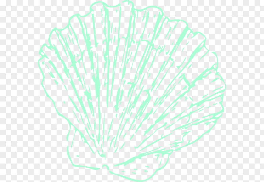 Nature Sea Animals Conch Leaf Art Line Tree Printmaking PNG
