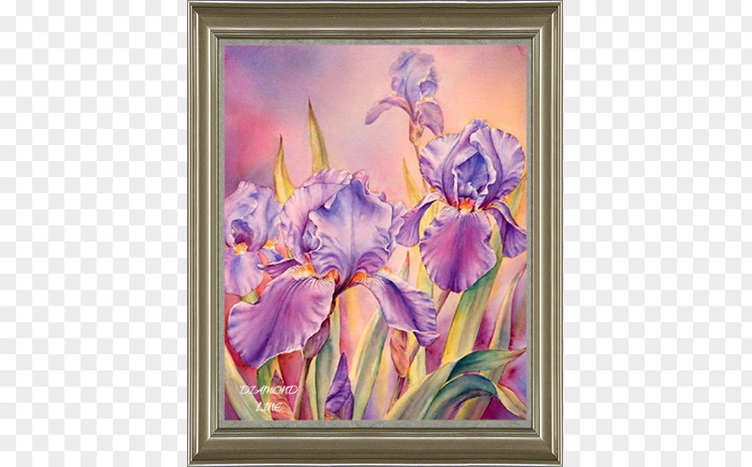 Painting Irises Watercolor Oil Art PNG