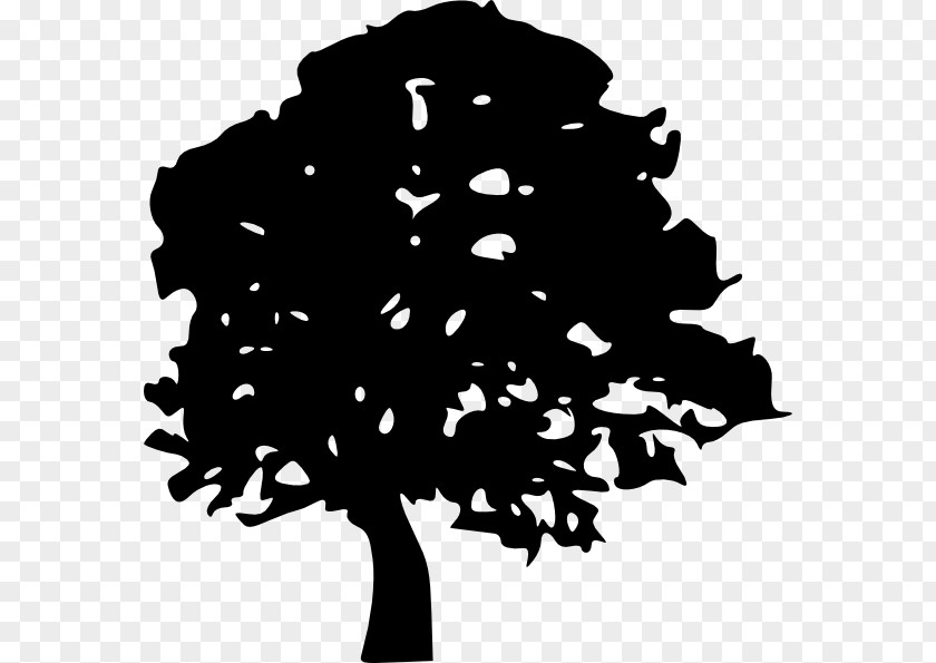 Tree Oak Clip Art PNG