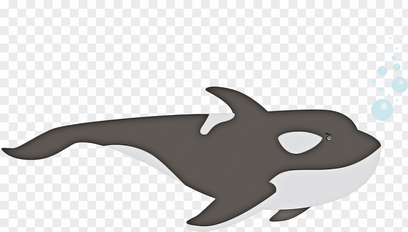 Animal Figure Logo Shark PNG