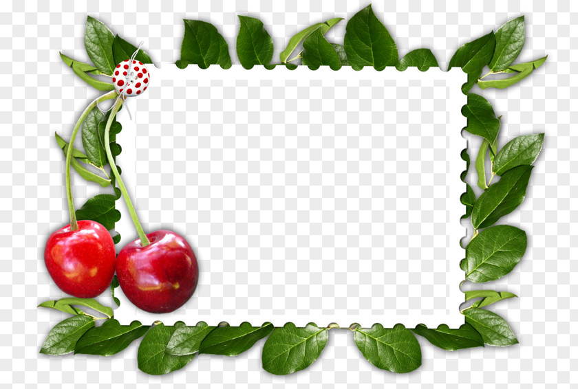 Cherry Picture Frames Clip Art PNG