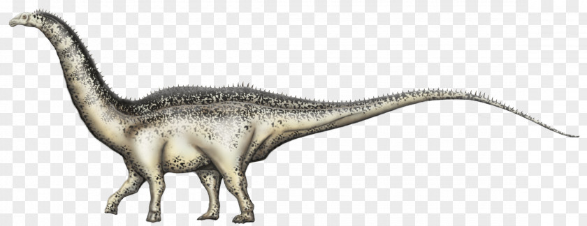 Dinosaur Velociraptor Tyrannosaurus Apatosaurus Triceratops PNG