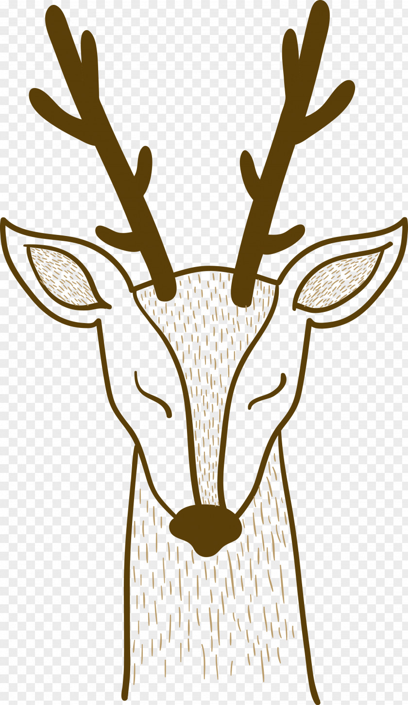 Hand Painted Lines Deer Vector Pxe8re Davids Sika PNG