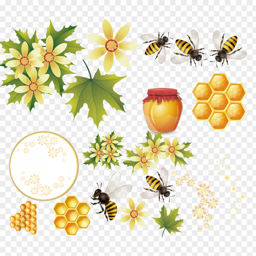 Honey Bee Hive Vector Material Download PNG