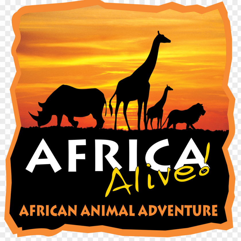 Morning Event WE’RE GOING ON A MINIBEAST HUNT! @ Africa Alive ZooZoo Keeper Alive! Lowestoft Walk For Wildlife PNG