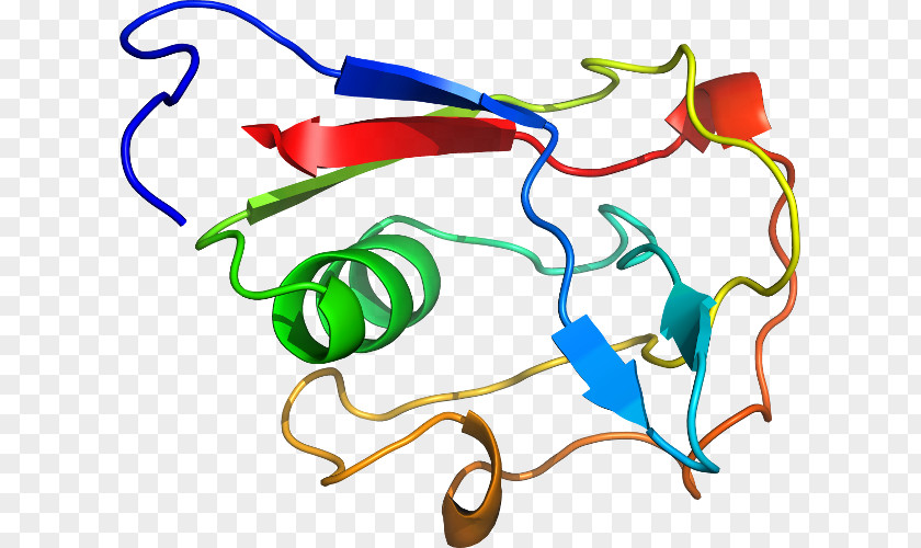 Yab Clip Art Line Point Product Organism PNG