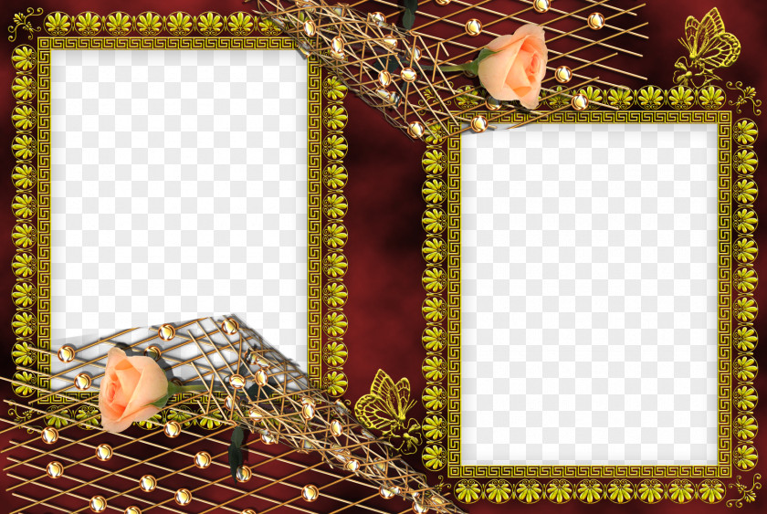Yellow Frame Border Pattern Picture PNG