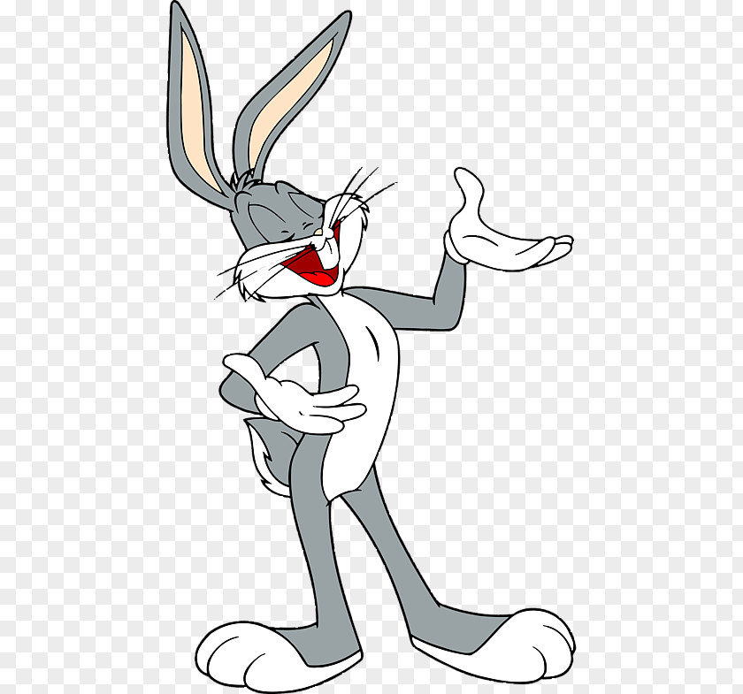 Bunnies Cartoon Bugs Bunny Daffy Duck Looney Tunes Clip Art PNG