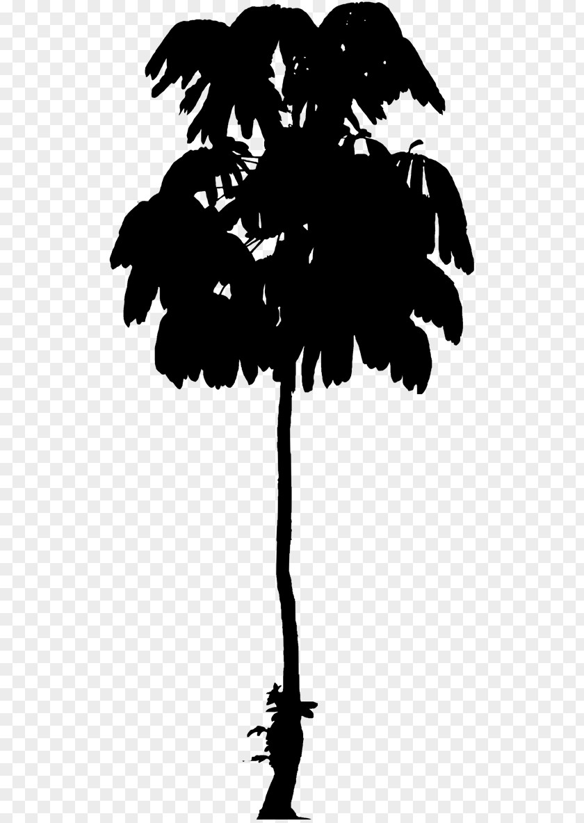 Visual Arts Graphics Illustration Silhouette Flower PNG