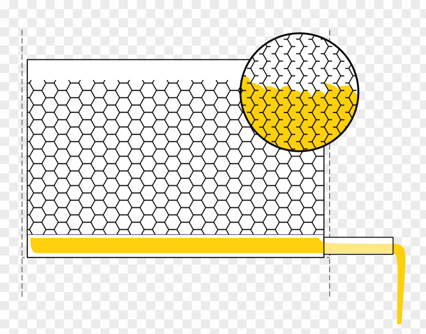 Bee Flow Hive Beehive PNG