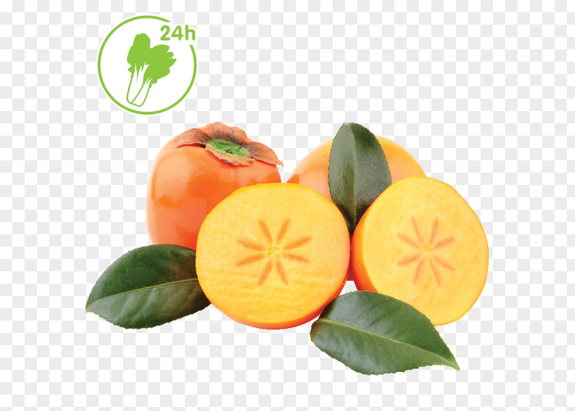 Durian Fruit Products In Kind Clementine Tangerine Mandarin Orange Tangelo Bitter PNG