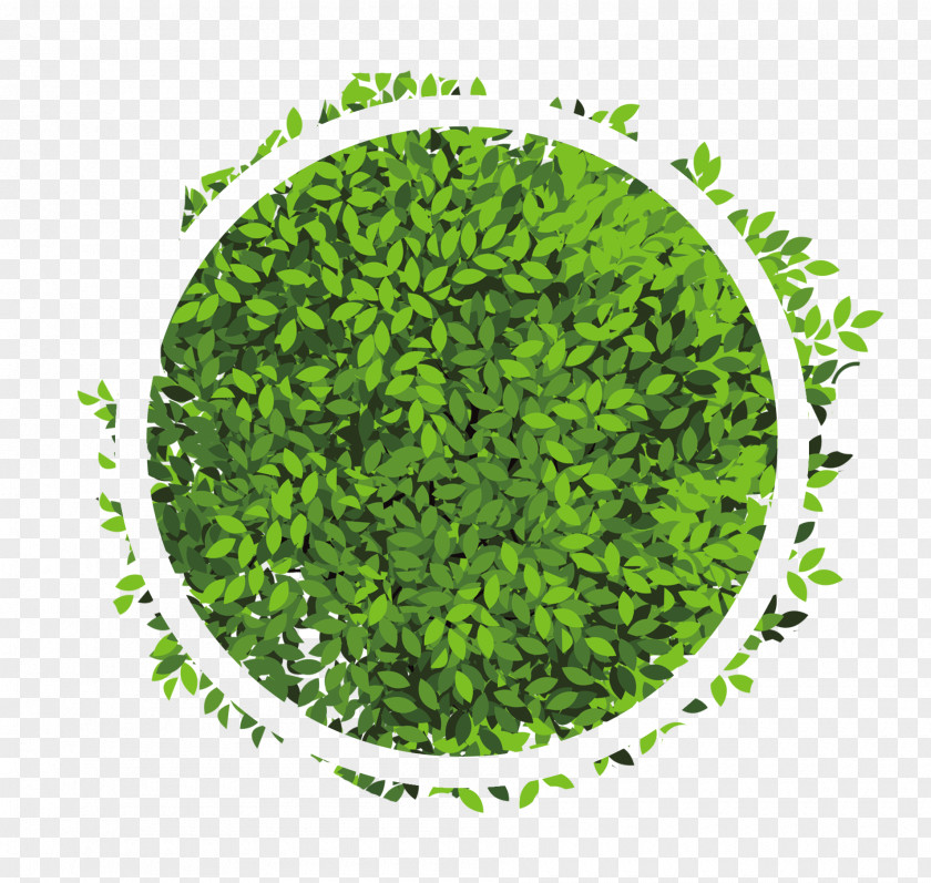 Green Circle Leaves Effect Elements PNG