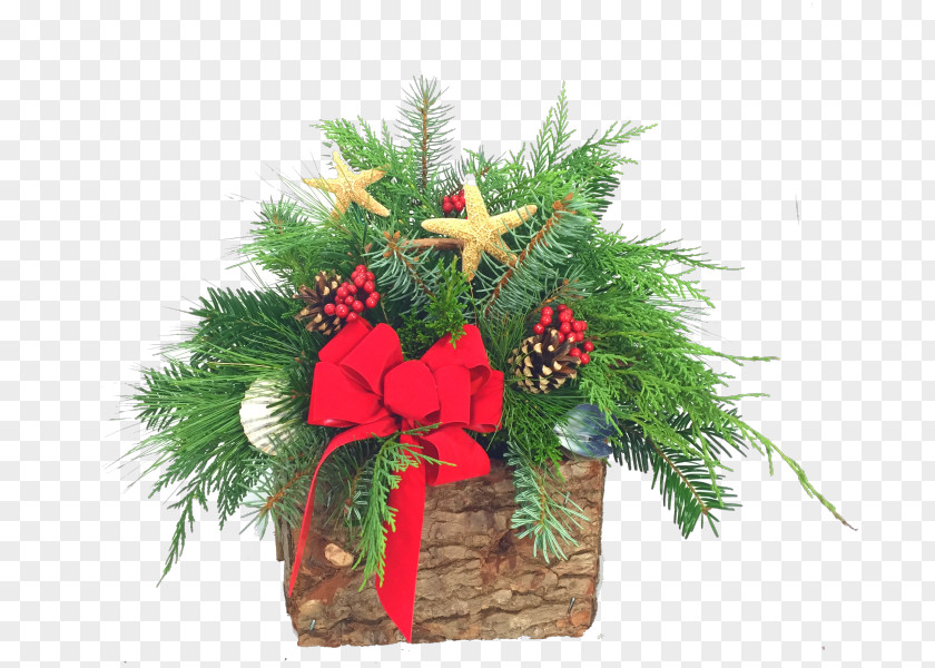 Greenery Pine Fir Christmas Decoration Evergreen Flower PNG