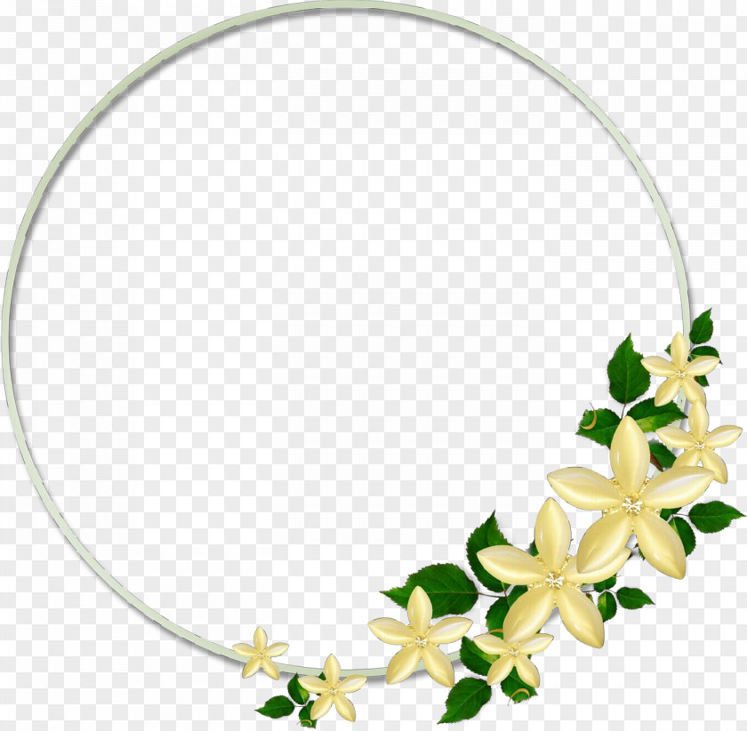 Ivy Plant PNG