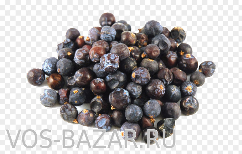 Juice Juniper Berry Gin PNG