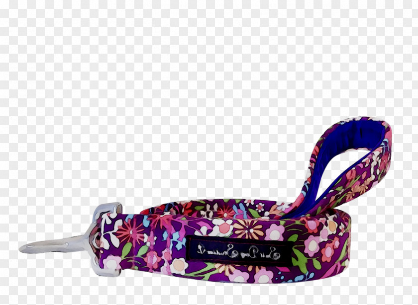 Leash Purple PNG