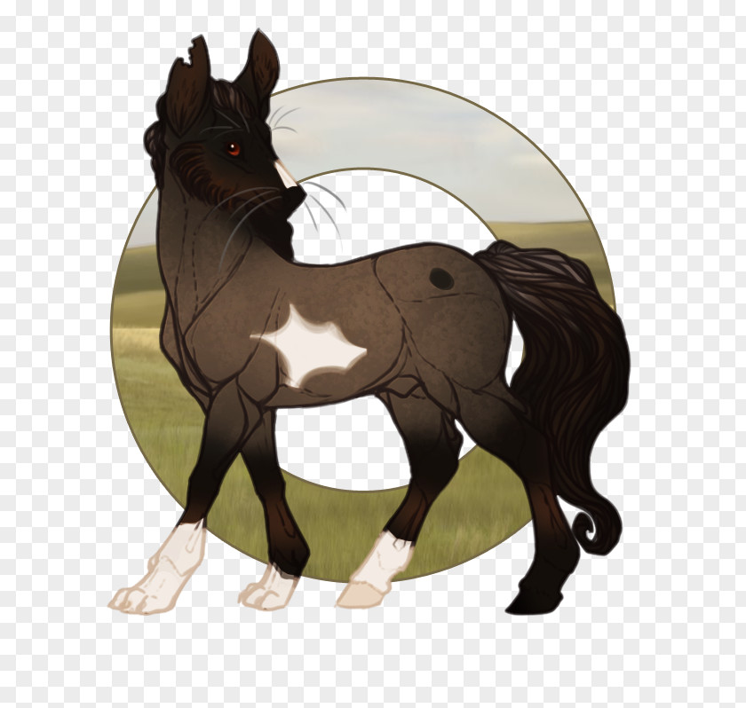 Mustang Foal Stallion Mare Colt PNG