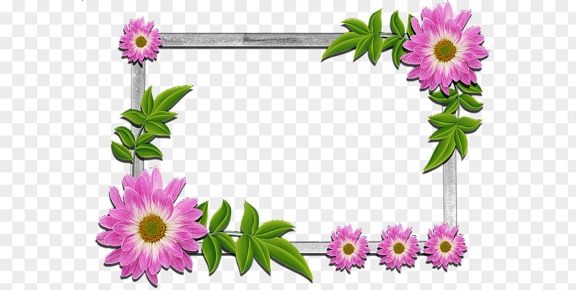 Nua Border Clip Art Borders And Frames Flower Picture Floral Design PNG
