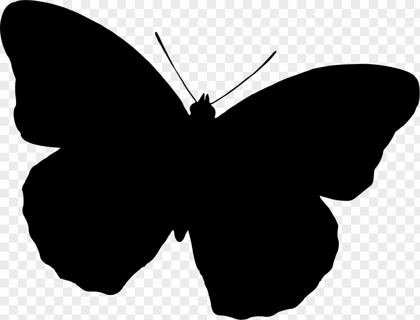 Purple Butterfly Silhouette Clip Art PNG