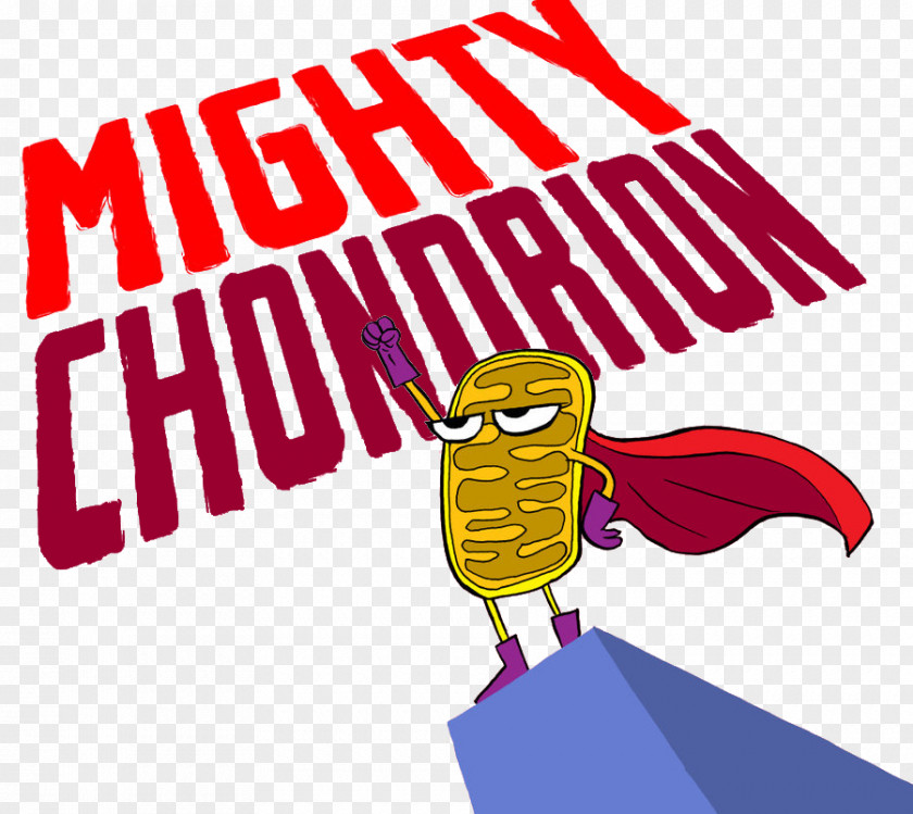 Science Ribosome Lysosome Cell Biology Mitochondrion PNG