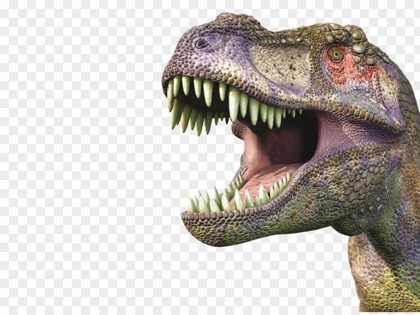 Sniper 3DDinosaur Tyrannosaurus Dinosaurs And Prehistoric Animals Deadly Hunt Jurassic Dino PNG