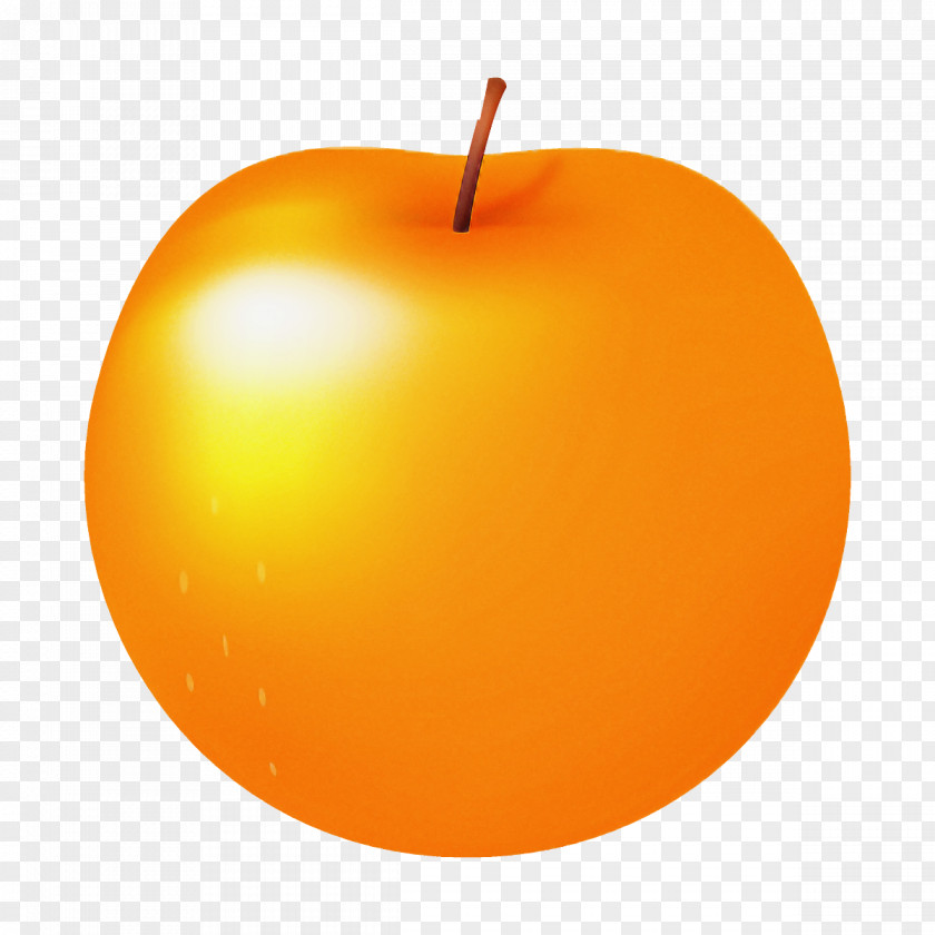 Tree Food Orange PNG