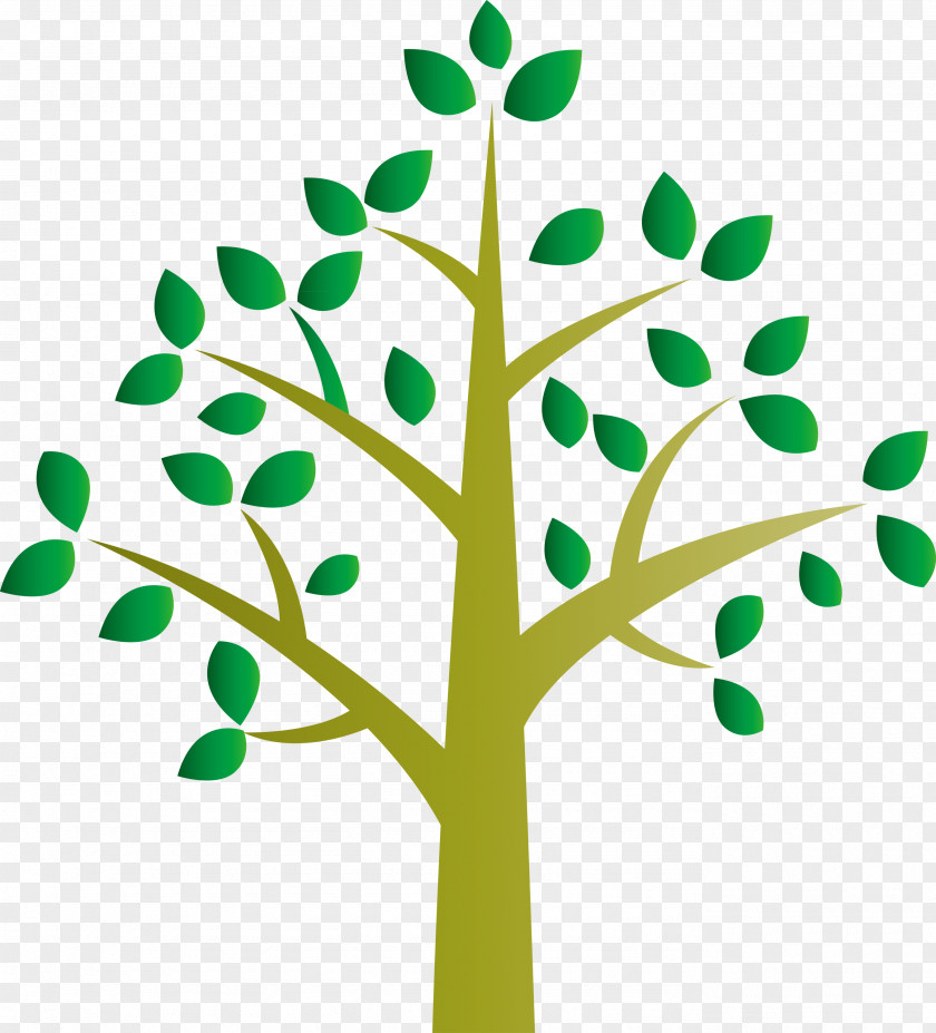 Tree PNG