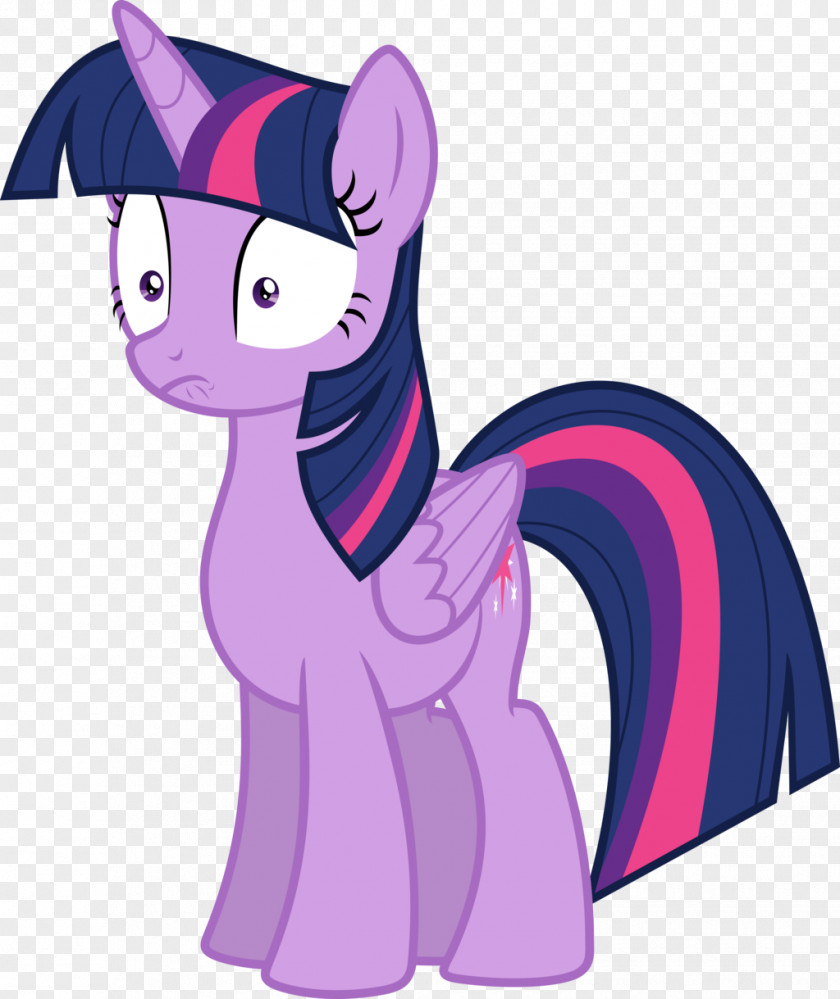 Twilight Sparkle Rarity Pinkie Pie Rainbow Dash Pony PNG