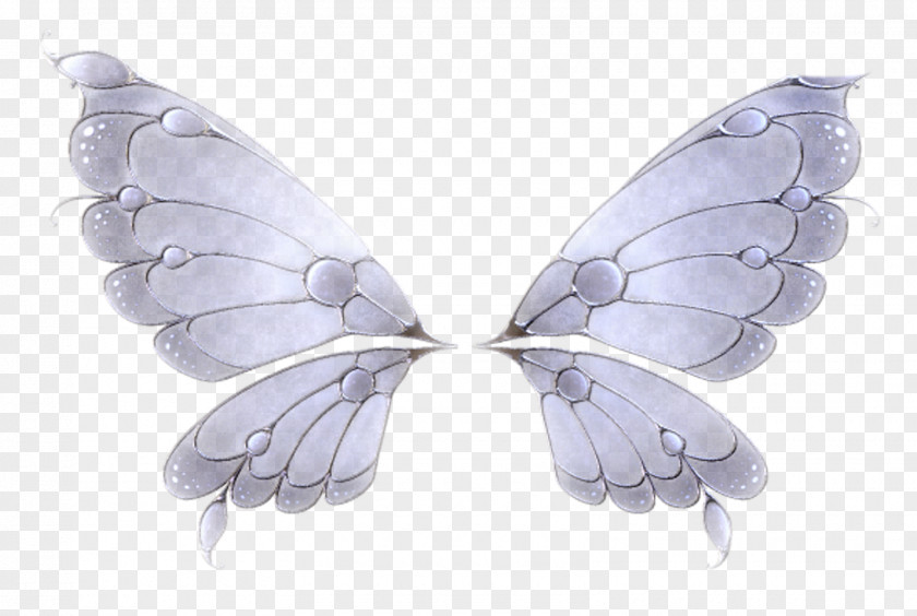 Wings Butterfly Wing Feather Insect PNG
