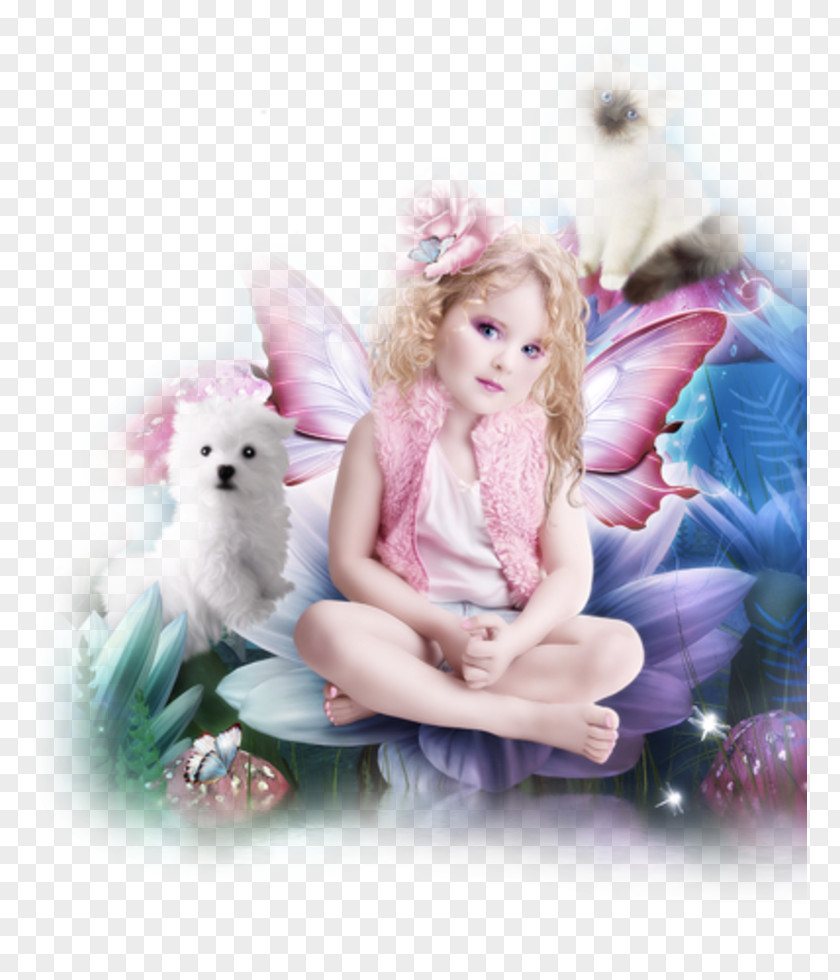 Angel Photography Painting PNG