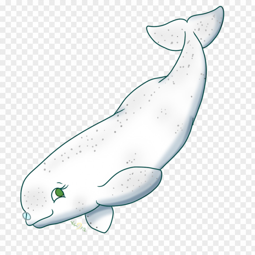 BABY SHARK Beluga Whale Drawing Clip Art PNG