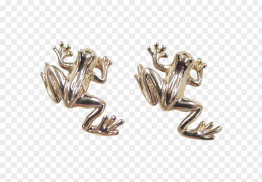 Gold Frog Earrings (Floral/Lime/Turquoise/Hot-Pink) Jewellery Silver PNG