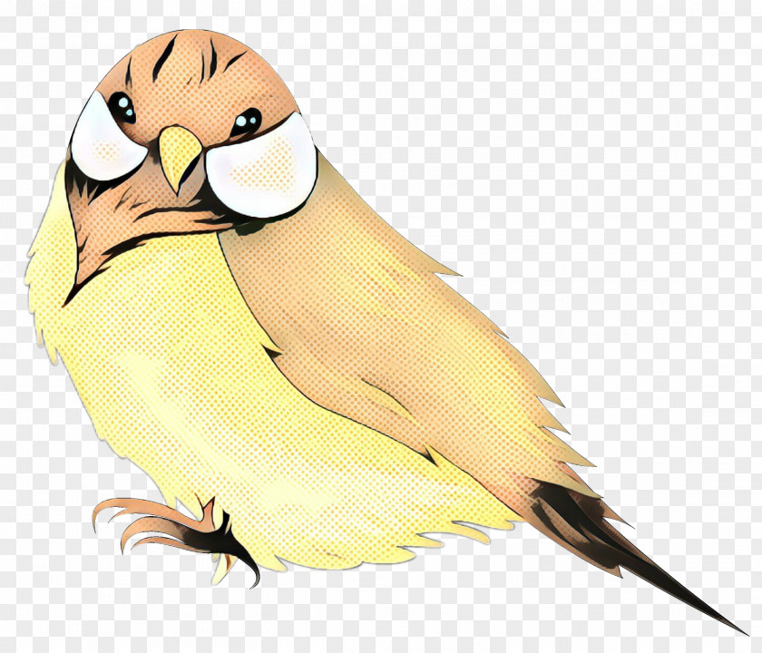 Lovebird Parakeet Beak Finches PNG