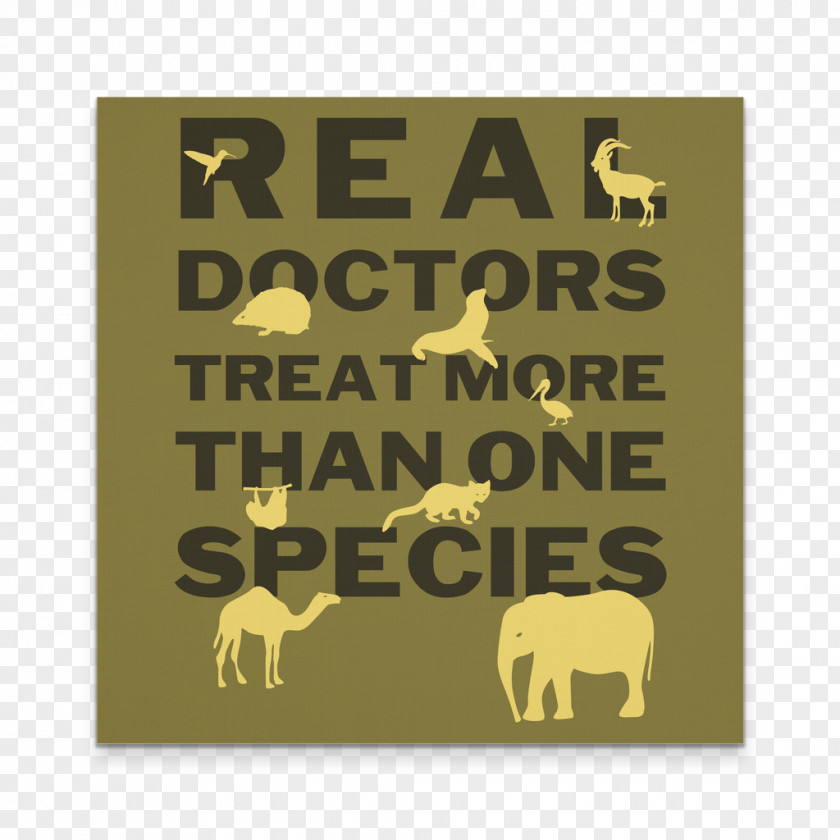 Real Doctors Mammal Square Meter Font PNG