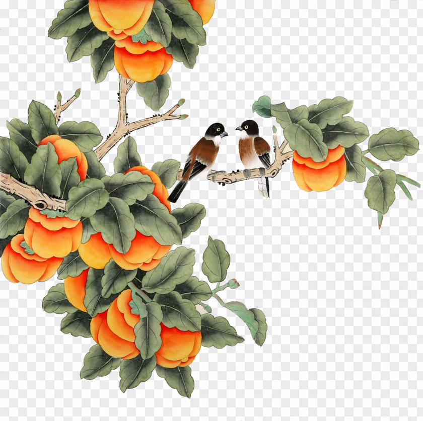 Ripe Persimmon Japanese Chinese Painting Gongbi PNG