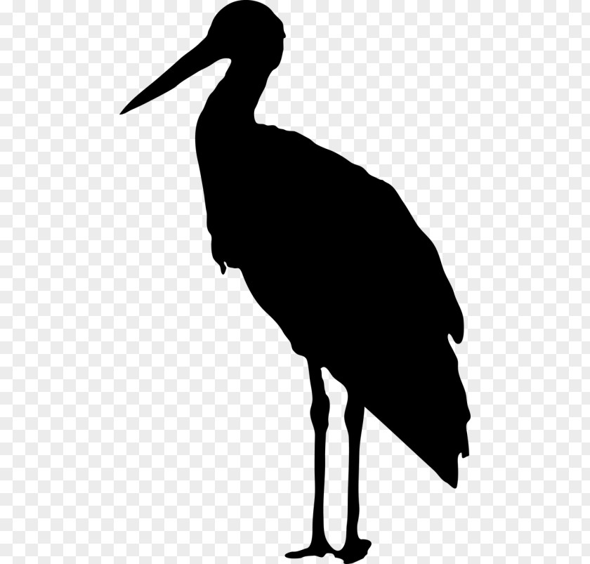 Simboli Streghe Stork Clip Art Silhouette Bird PNG