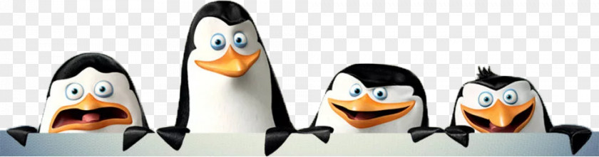 321 Penguins Madagascar Kowalski DreamWorks Animation PNG
