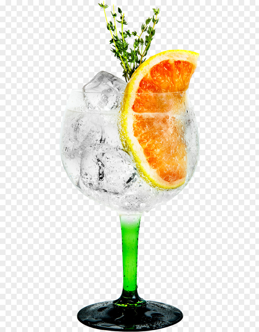Cocktail Garnish Gin And Tonic Tanqueray Sea Breeze Martini PNG