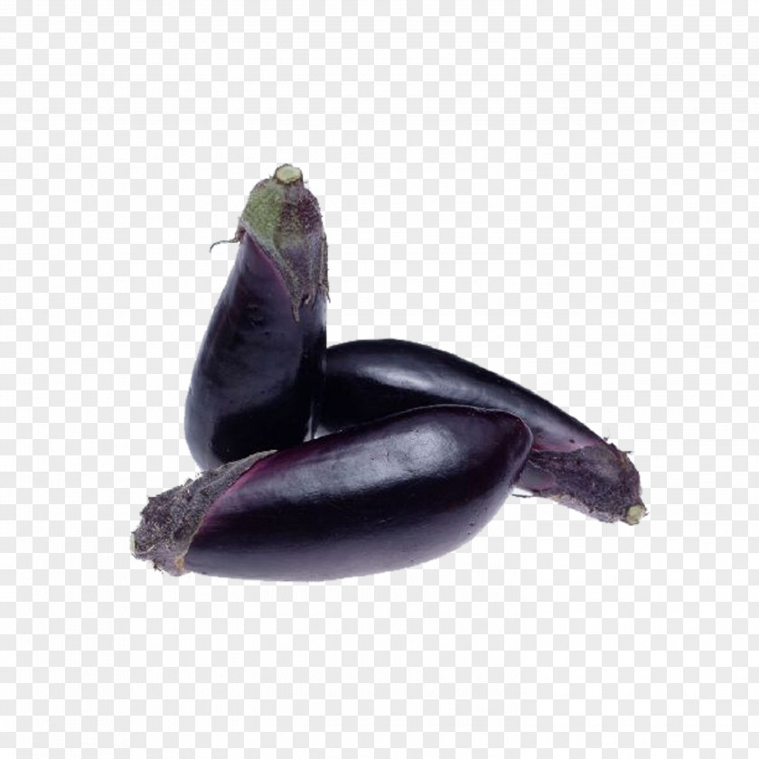 Eggplant Tempura Vegetable Beefsteak Plant Seasonal Food PNG