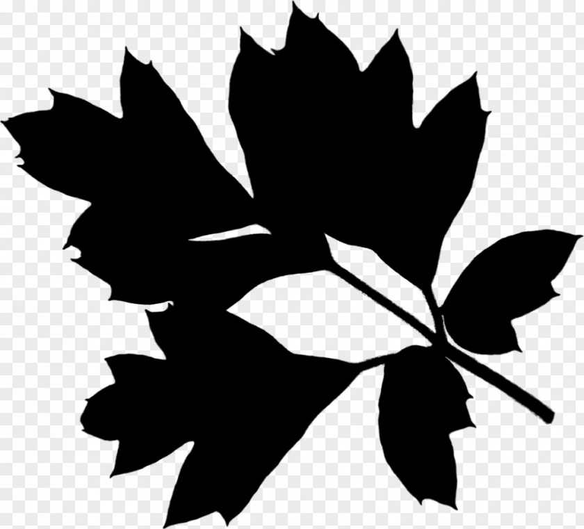 M Clip Art Plant Stem Maple Leaf Black & White PNG