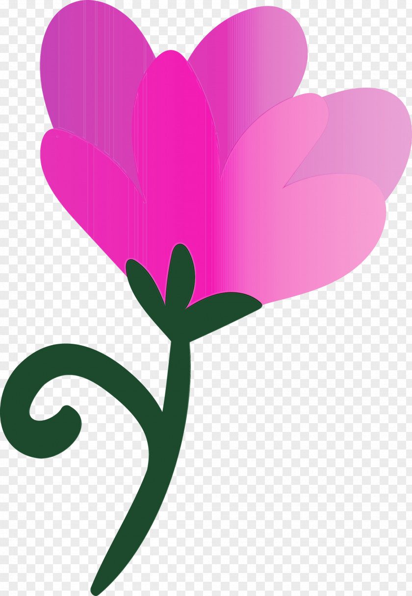 Plant Stem Petal Leaf Pink M Flower PNG