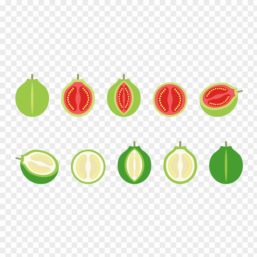 Vector Cut Papaya Download Adobe Illustrator Illustration PNG