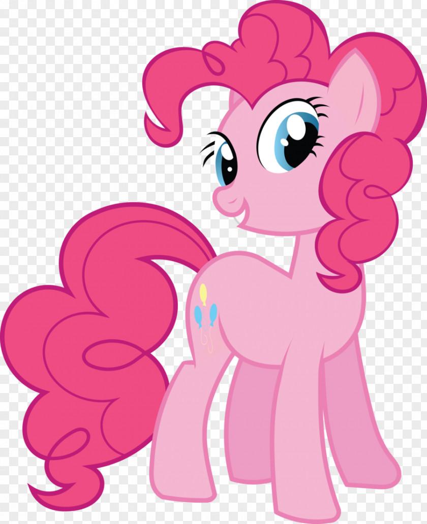 Pinkie Pie Pony Rainbow Dash Rarity Flash Sentry PNG