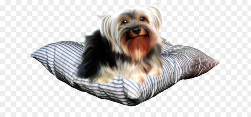 Puppy Yorkshire Terrier Australian Silky Companion Dog PNG