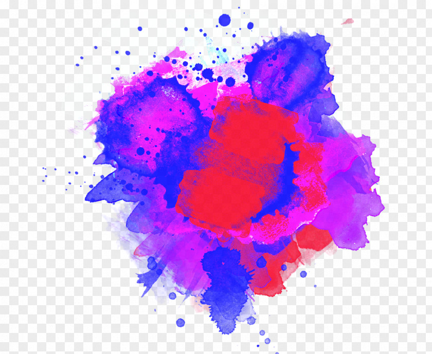 Splat Watercolour Flowers Watercolor Painting PNG